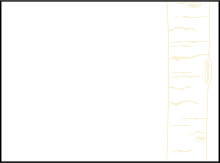 Birch Letterpress Placecard Flat Design Medium
