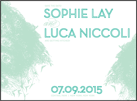 Peacock Feathers Letterpress Save The Date Design Medium