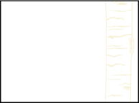 Birch Letterpress Placecard Flat Design Small