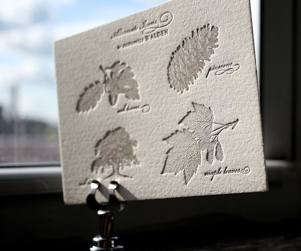 Sun Stage Race Results[/url] Valuable Canadian Coins 