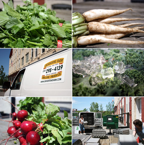 Our First CSA Delivery!