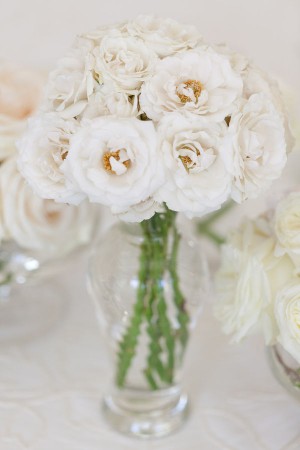 white-roses white-roses
