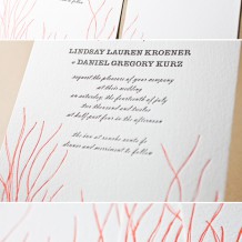 B_Kroener_13499 B_Kroener_13499