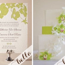 bella-bride-paradise